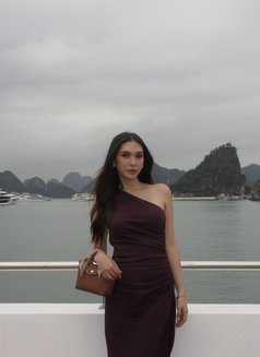 Classic Beauty - puta in Taipei Photo 12 of 17