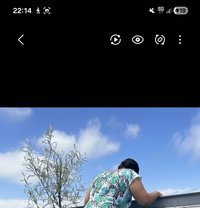 Classic Carrina - escort in Cape Town