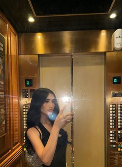 Classy Love sofia CAMSHOW! - escort in Taipei Photo 27 of 28