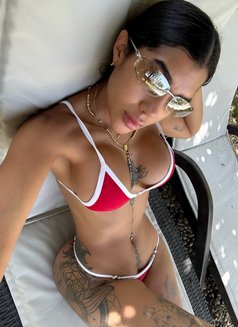 Alondra - puta in Beirut Photo 6 of 8