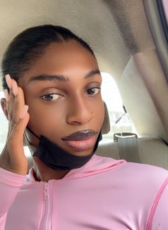 Clean and Classy - Transsexual escort in Accra Photo 1 of 9