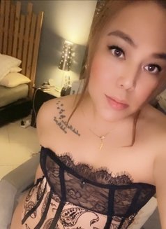 Cleo Your Majesty…! - Transsexual escort in Riyadh Photo 15 of 21