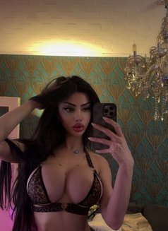 Cleopatra شيميل عربية - Transsexual escort in Düsseldorf Photo 11 of 11
