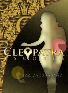 Cleopatra Escorts - escort agency in London Photo 1 of 1