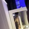 Clintpuppy21 - Male escort in Doha