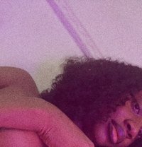 Clover - Transsexual escort in Bamako
