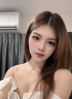 CM Nosex ,Blowjob only - escort in Bangkok Photo 19 of 22