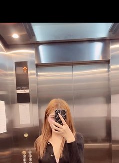 Cm Your Exclusive Gfe Fantasy - escort in Bangkok Photo 1 of 15