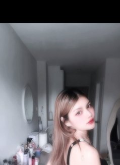Cm Your Exclusive Gfe Fantasy - escort in Bangkok Photo 9 of 15