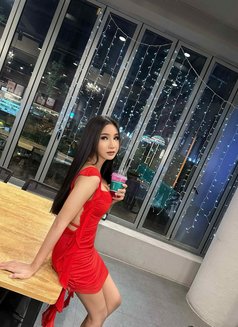 Co Co Now me live in Seoul - Transsexual escort in Seoul Photo 17 of 25