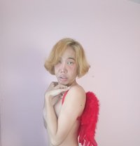 Coco Aunny - Transsexual escort in Udon Thani