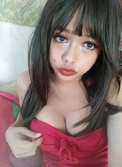 Coco both 🇹🇭🇹🇭🇹🇭🇹🇭 - Transsexual escort in Khobar Photo 12 of 13