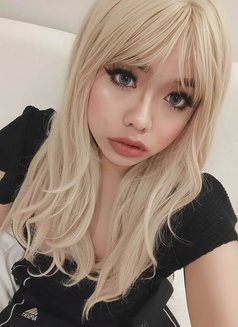 C.c. ladyboy both - Acompañantes transexual in Khobar Photo 3 of 6