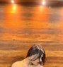Coco Brownie - Transsexual escort in Chandigarh Photo 26 of 28