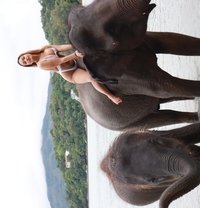 Coco - escort in Phuket