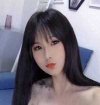 coco - Transsexual escort in Changsha