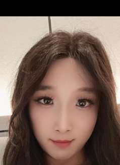 Coco - Acompañantes transexual in Wuhan Photo 1 of 9