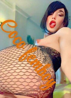 Coco Femboy - Transsexual companion in Cairo Photo 18 of 28