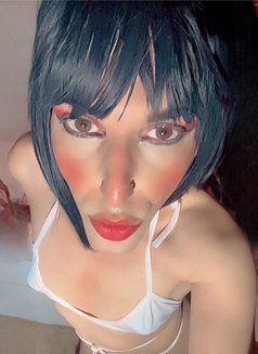 Coco Femboy - Transsexual companion in Cairo Photo 21 of 28