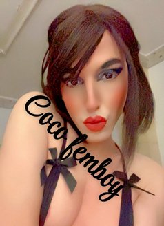 Coco Femboy - Transsexual companion in Cairo Photo 26 of 28