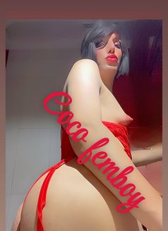 Coco Femboy - Transsexual companion in Cairo Photo 24 of 28