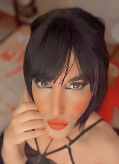 Coco Femboy - Transsexual companion in Cairo Photo 18 of 25
