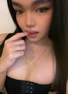 Coco - Acompañantes transexual in Manila Photo 3 of 4