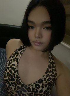 Coco - Acompañantes transexual in Manila Photo 2 of 5