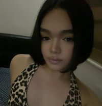 Coco - Acompañantes transexual in Manila