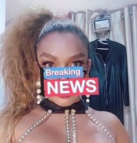 Coco - Acompañantes transexual in Manila