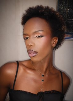 Coco - Male escort in Nairobi Photo 2 of 3