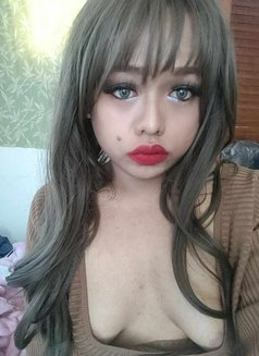 Coco kamala beach ⛱️⛱️⛱️ - Transsexual escort in Phuket Photo 8 of 23