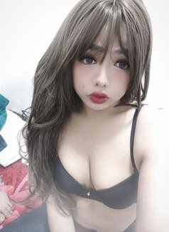 Coco kamala beach ⛱️⛱️⛱️ - Transsexual escort in Phuket Photo 10 of 23