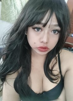 Coco kamala beach ⛱️⛱️⛱️ - Transsexual escort in Phuket Photo 15 of 23