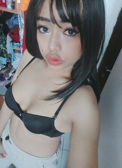 Coco kamala beach ⛱️⛱️⛱️ - Transsexual escort in Phuket Photo 19 of 23