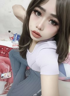 Coco kamala beach ⛱️⛱️⛱️ - Transsexual escort in Phuket Photo 23 of 23