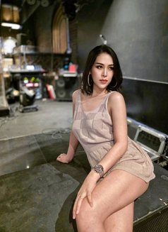 Coco Ladyboy From Thailand 🇹🇭 - Transsexual escort in Al Manama Photo 6 of 6