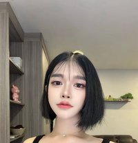 Coco - Transsexual escort in Bangkok