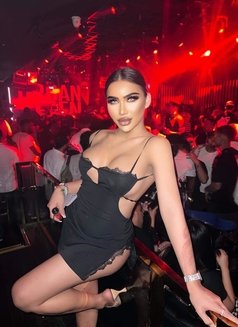 Coco Big cock 9’1 🇹🇭 - Transsexual escort in Dubai Photo 10 of 15