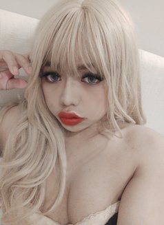 Koko's 🇹🇭🇹🇭🇹🇭🇹🇭 - Transsexual escort in Jeddah Photo 13 of 14