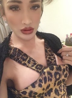 Teya stunning Ladyboy Burdudai - Transsexual escort in Dubai Photo 8 of 11