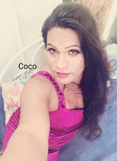 Coco Vip Shemale Sl - Transsexual escort in Colombo Photo 3 of 5