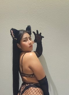 Cocoa Sweets - Masajista in Khobar Photo 3 of 5