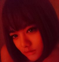 ASIA COCOMI | COME TO EAT MY ASS NOW! - Transsexual escort in Sydney