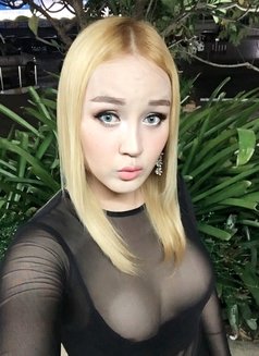 Cocoshemale - Transsexual escort in Udon Thani Photo 1 of 10