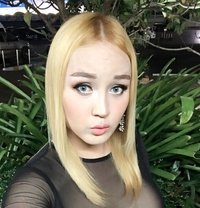 Cocoshemale - Transsexual escort in Udon Thani