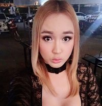 Cocoshemale - Transsexual escort in Udon Thani