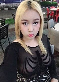 Cocoshemale - Transsexual escort in Udon Thani Photo 9 of 10