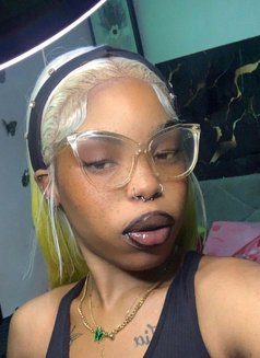 Cocotaee - escort in Barbados Photo 1 of 1