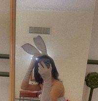 Coffee - Transsexual escort in Amman